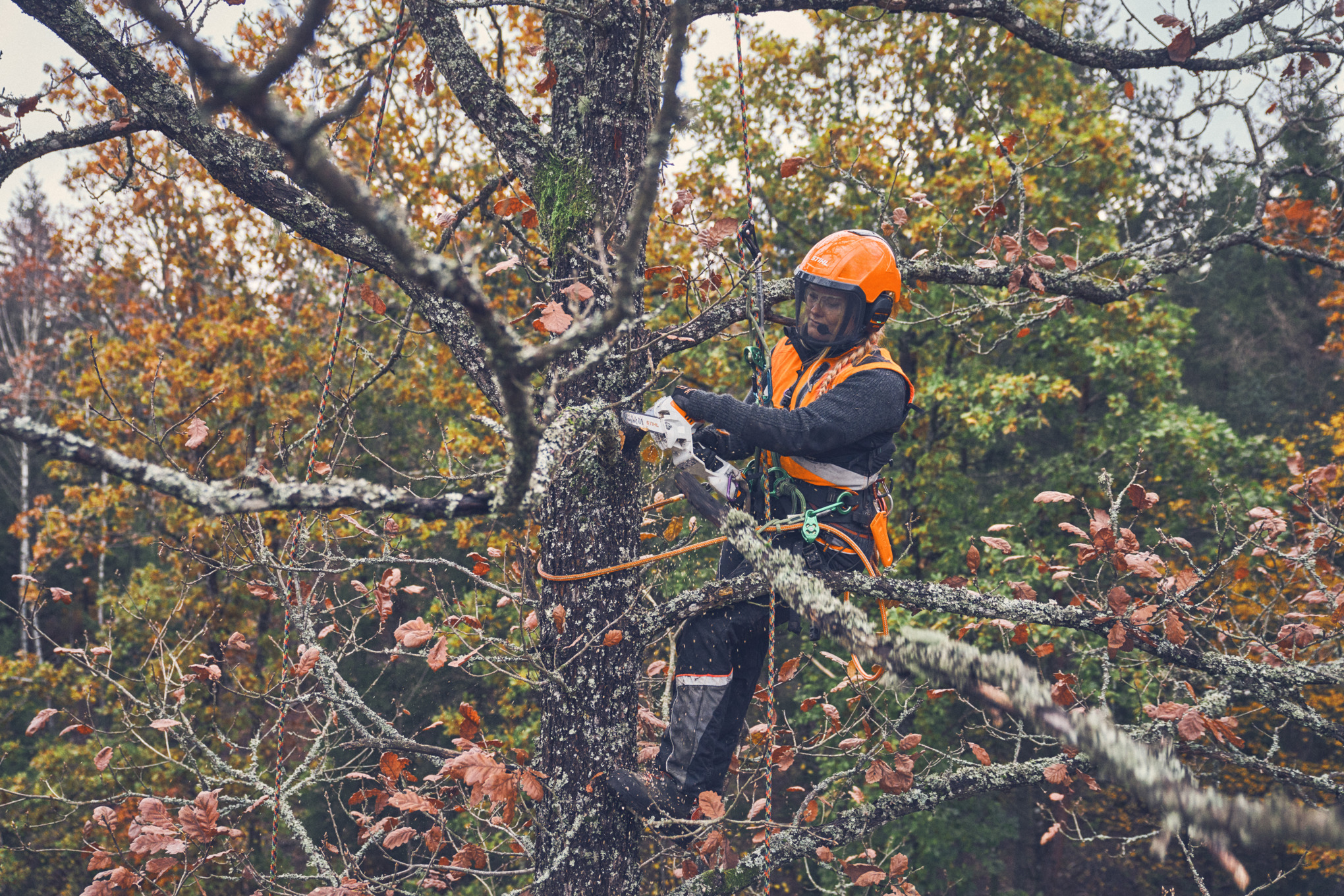 Una arborista poda en altura las ramas de un árbol con la minisierra STIHL GTA 40