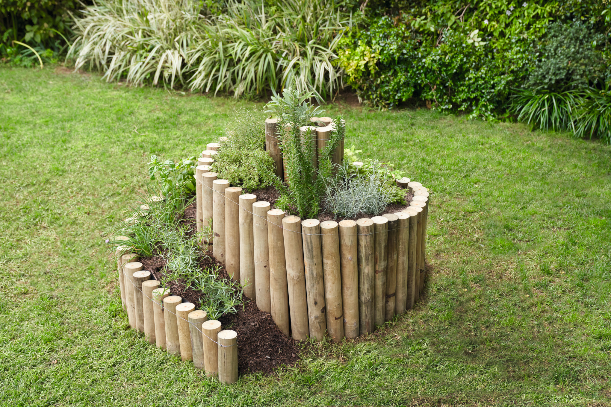 Espiral de hierbas con estacas de madera en un huerto