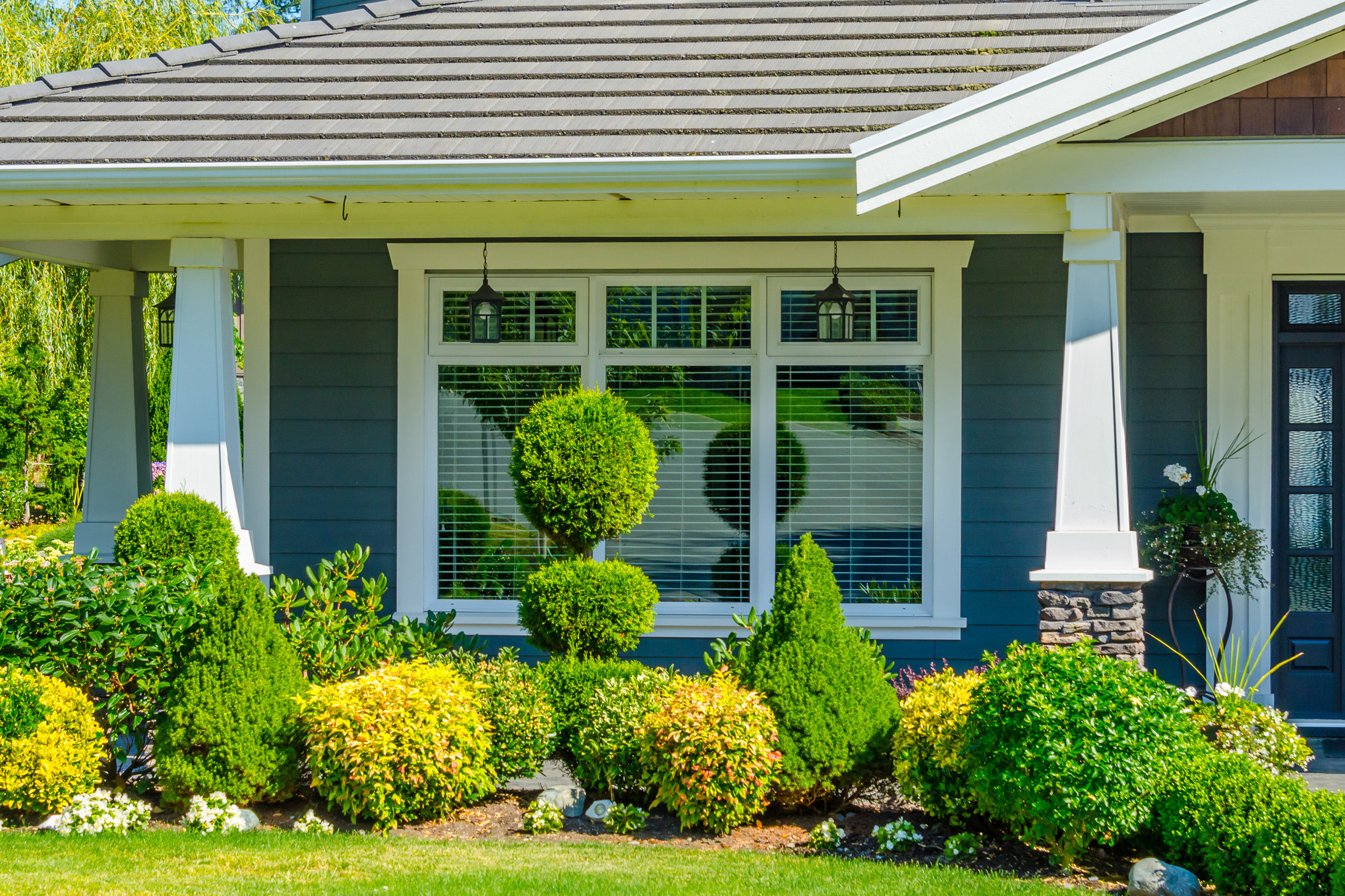 Atractivo jardín con plantas y arbustos con un corte ornamental