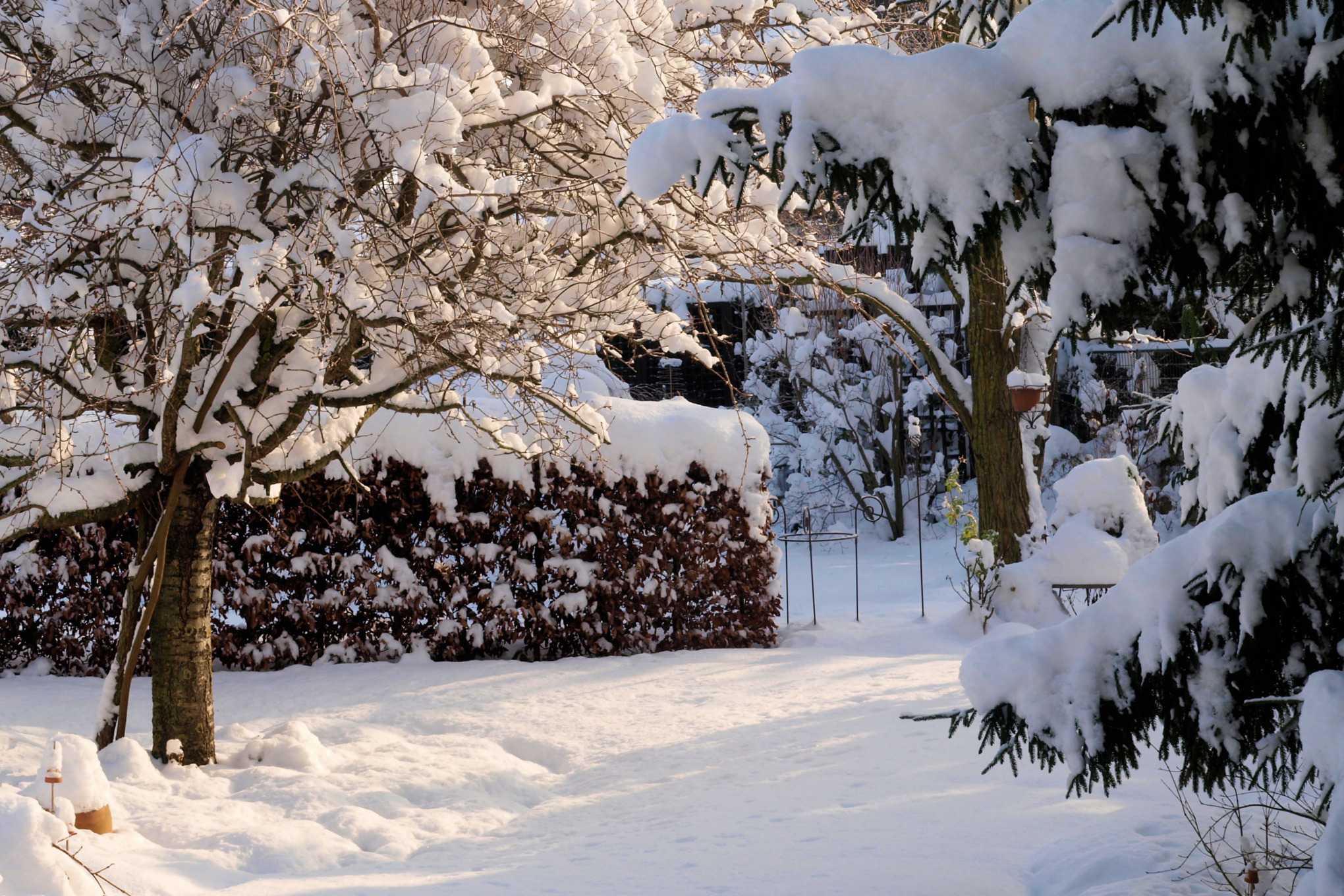 Jardín cubierto de nieve
