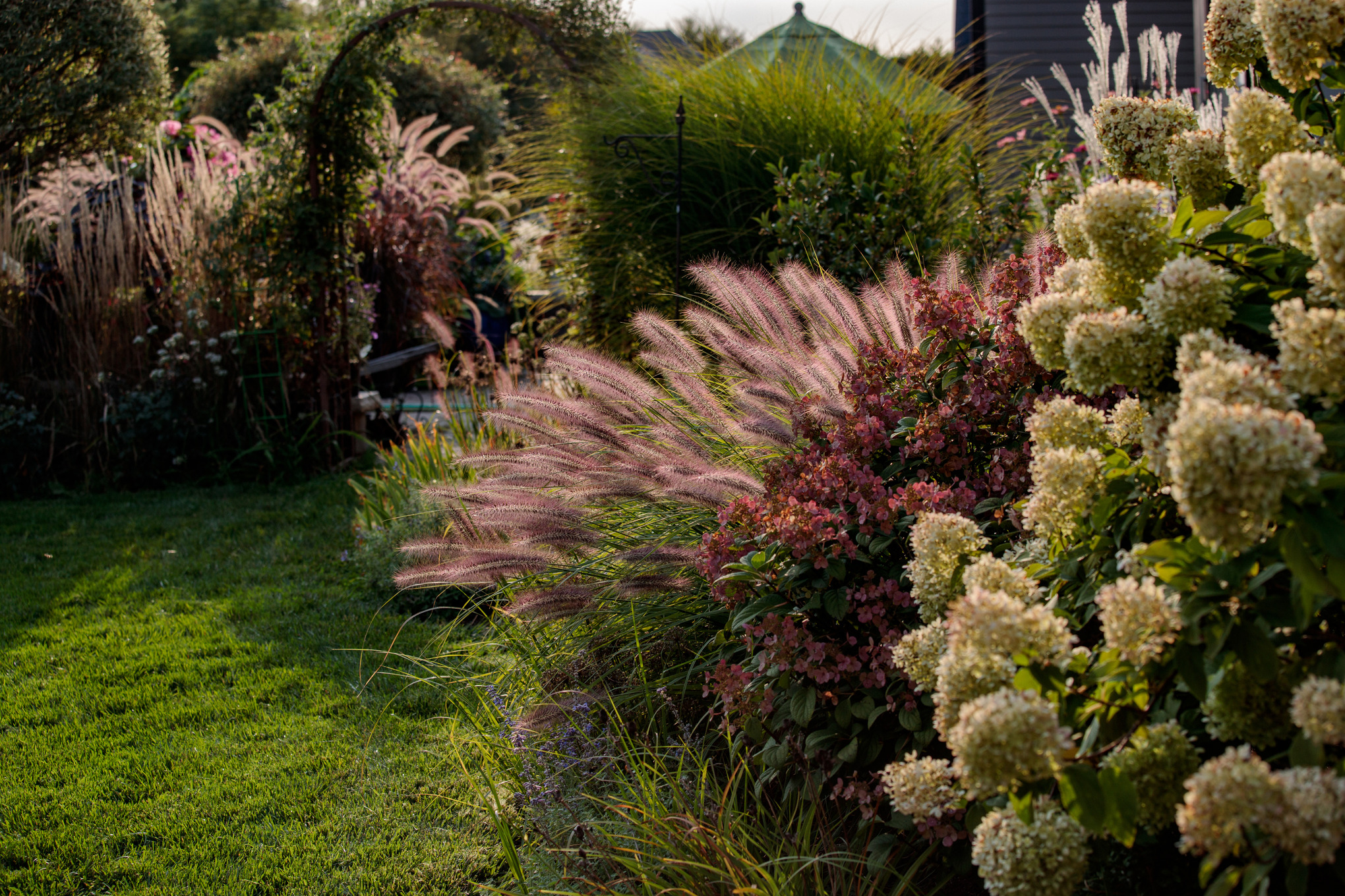 Gramíneas y arbustos en flor en una superficie de césped con un arco ajardinado y una caseta de jardín al fondo  