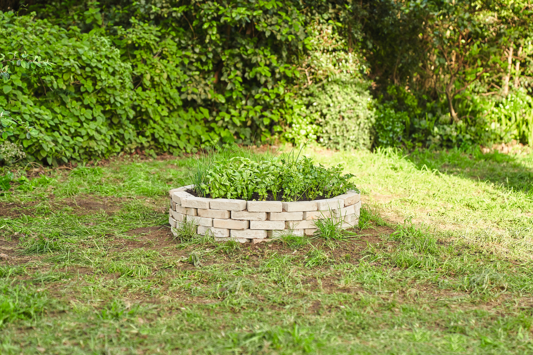 Arriete circular bordeado de piedras sobre un viejo tocón de árbol