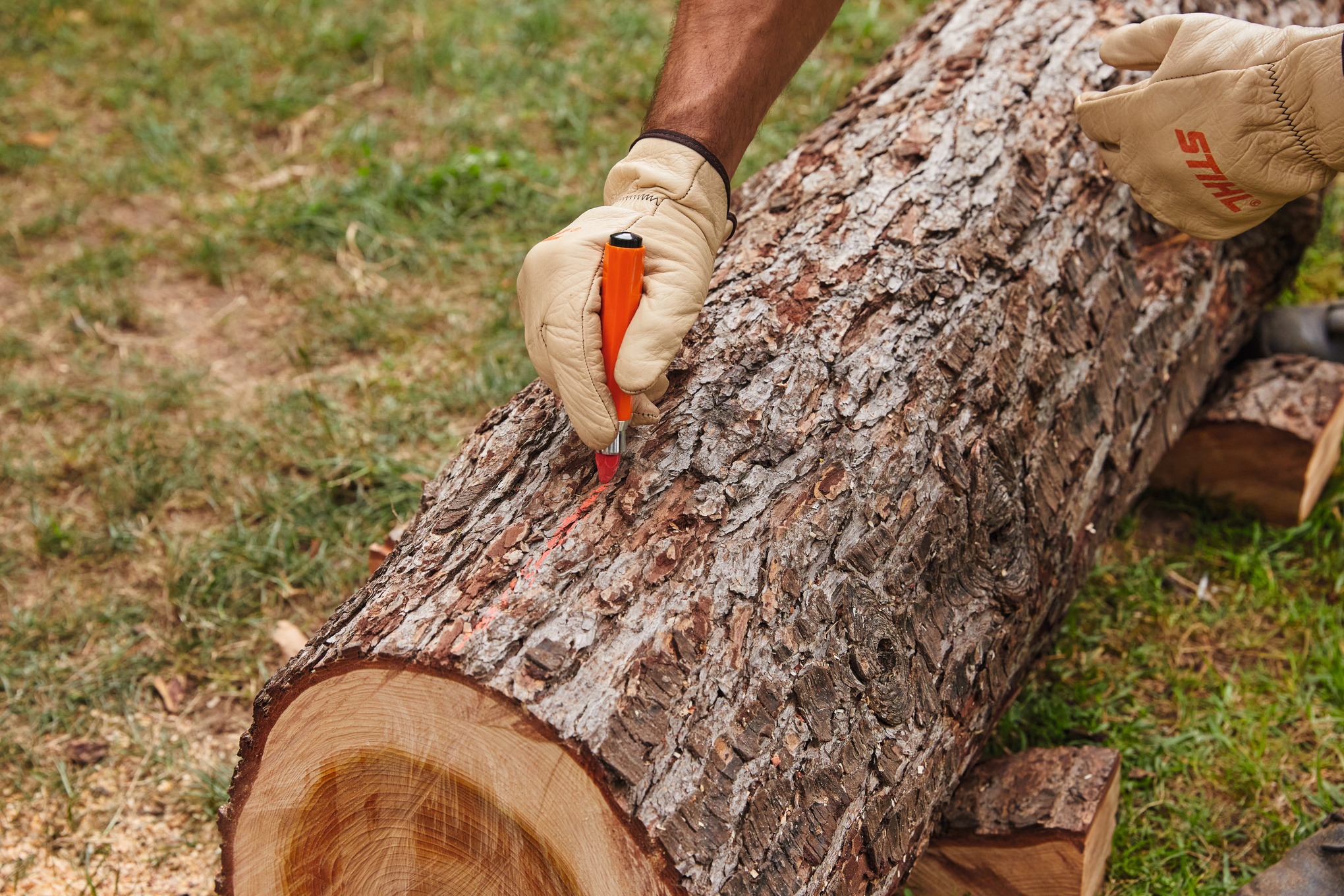 Tiza de marcación forestal