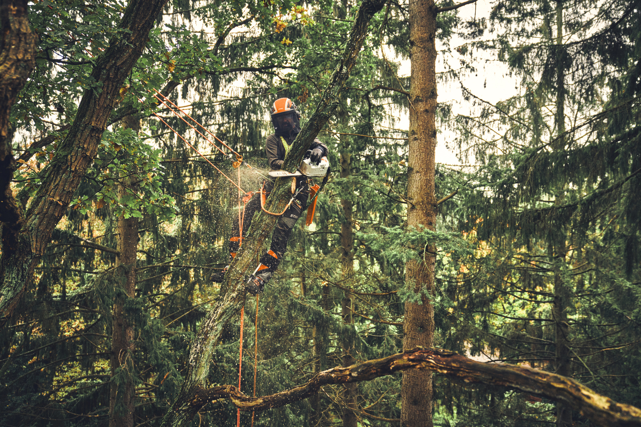 MSA 220 TC-O, sin batería ni cargador