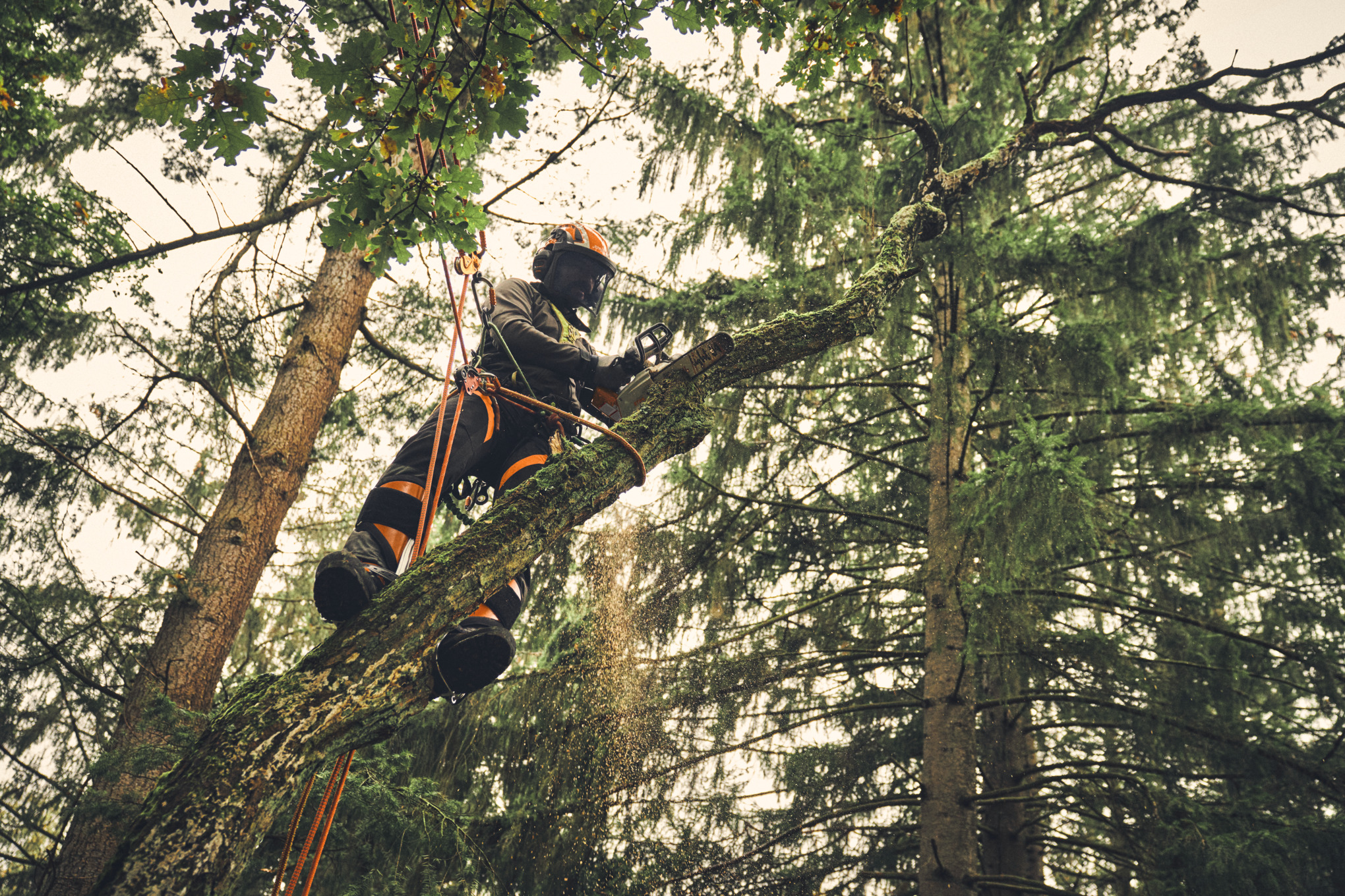 MSA 220 TC-O, sin batería ni cargador