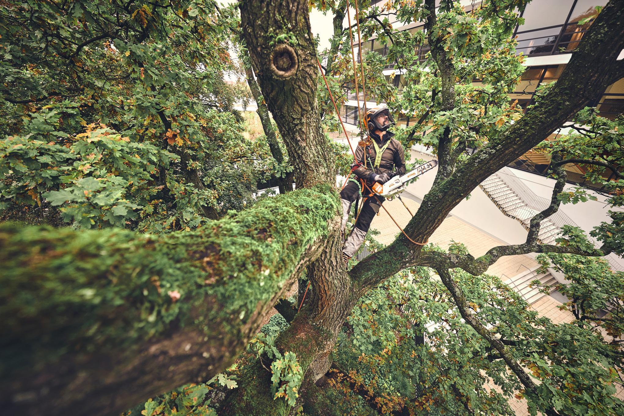 MSA 220 TC-O, sin batería ni cargador