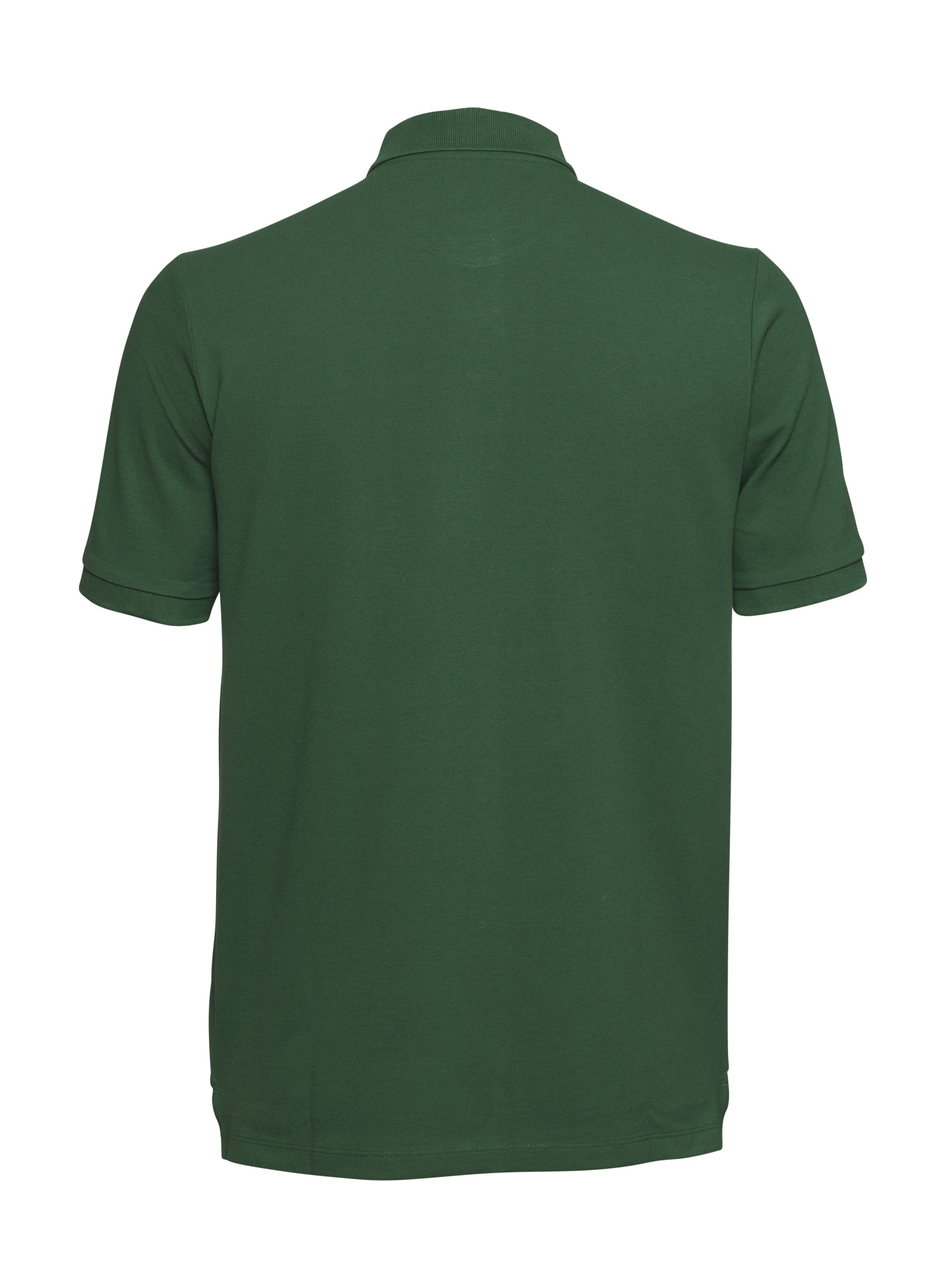 Polo BASIC GREEN