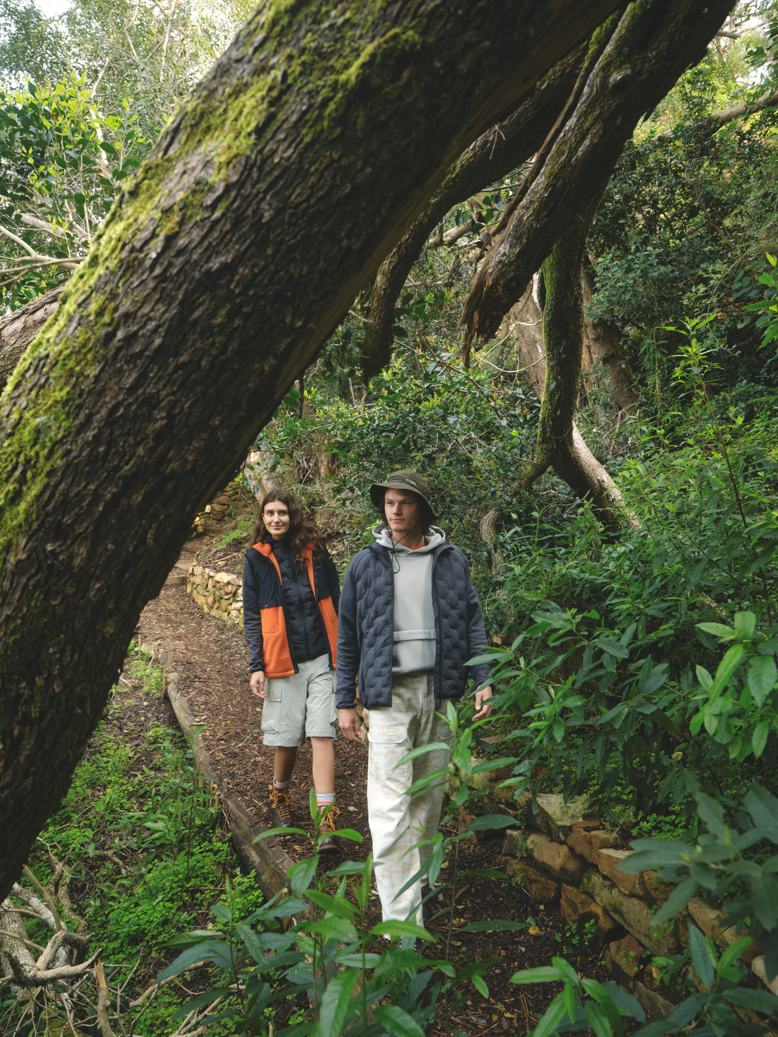 Chaqueta hybrid hood