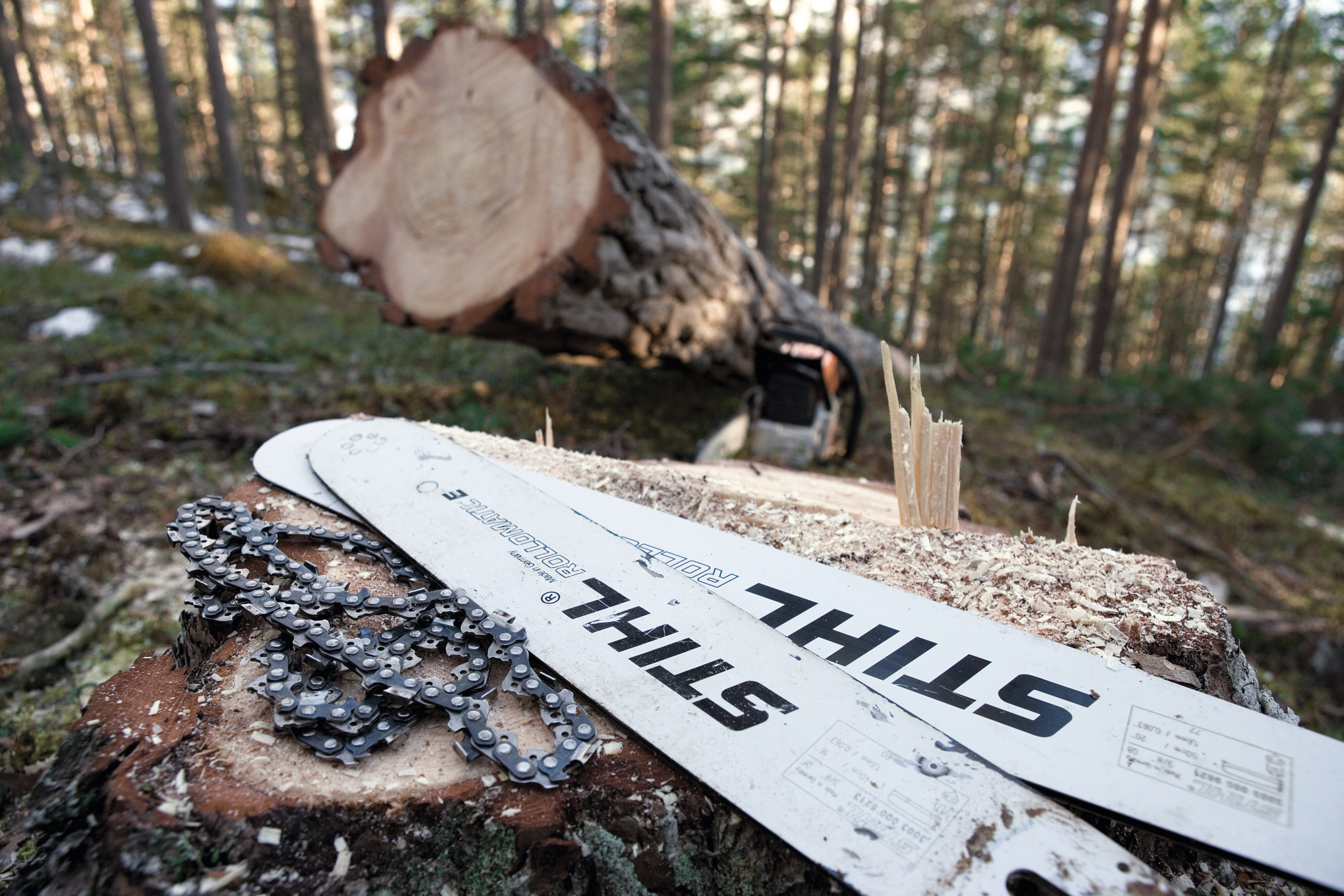 Dos espadas Rollomatic y cadenas sobre un tronco en el bosque 