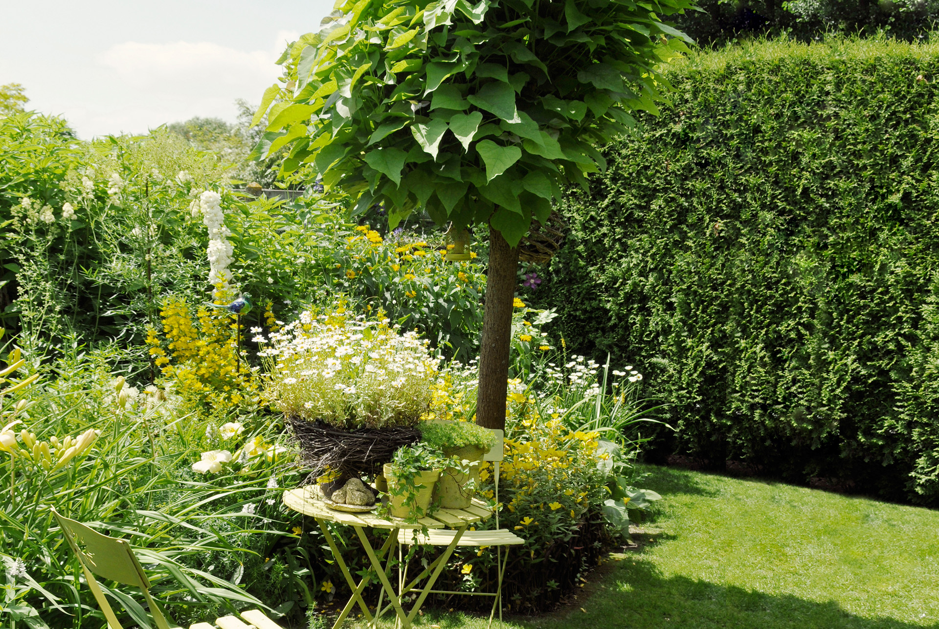 Jardín pequeño con superficie de césped, muebles de jardín y maceteros delanteros, y catalpa, arbustos en forma de columna en la parte trasera.