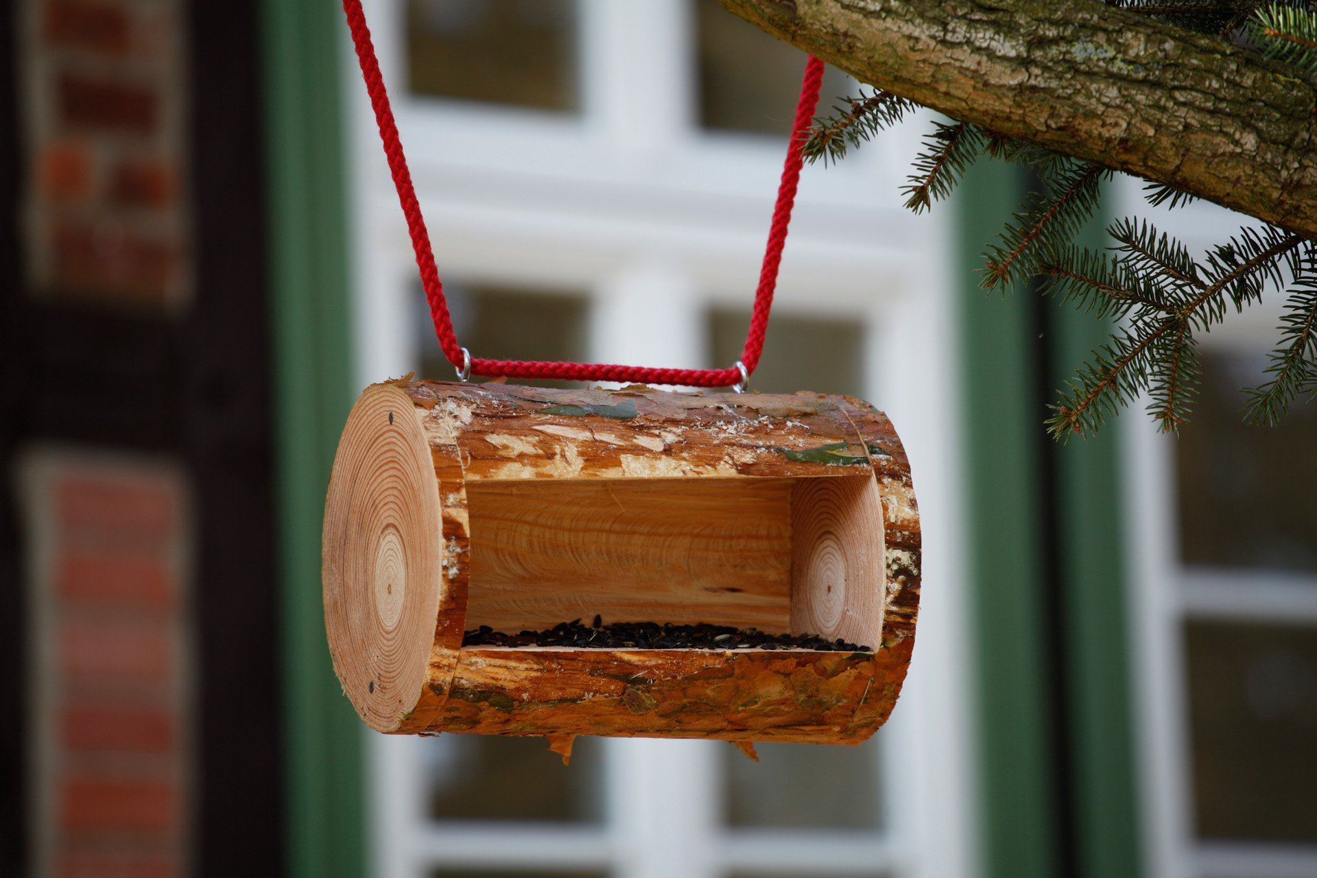 Un comedero para pájaros DIY de madera colgado de una rama con un trozo de cuerda roja.