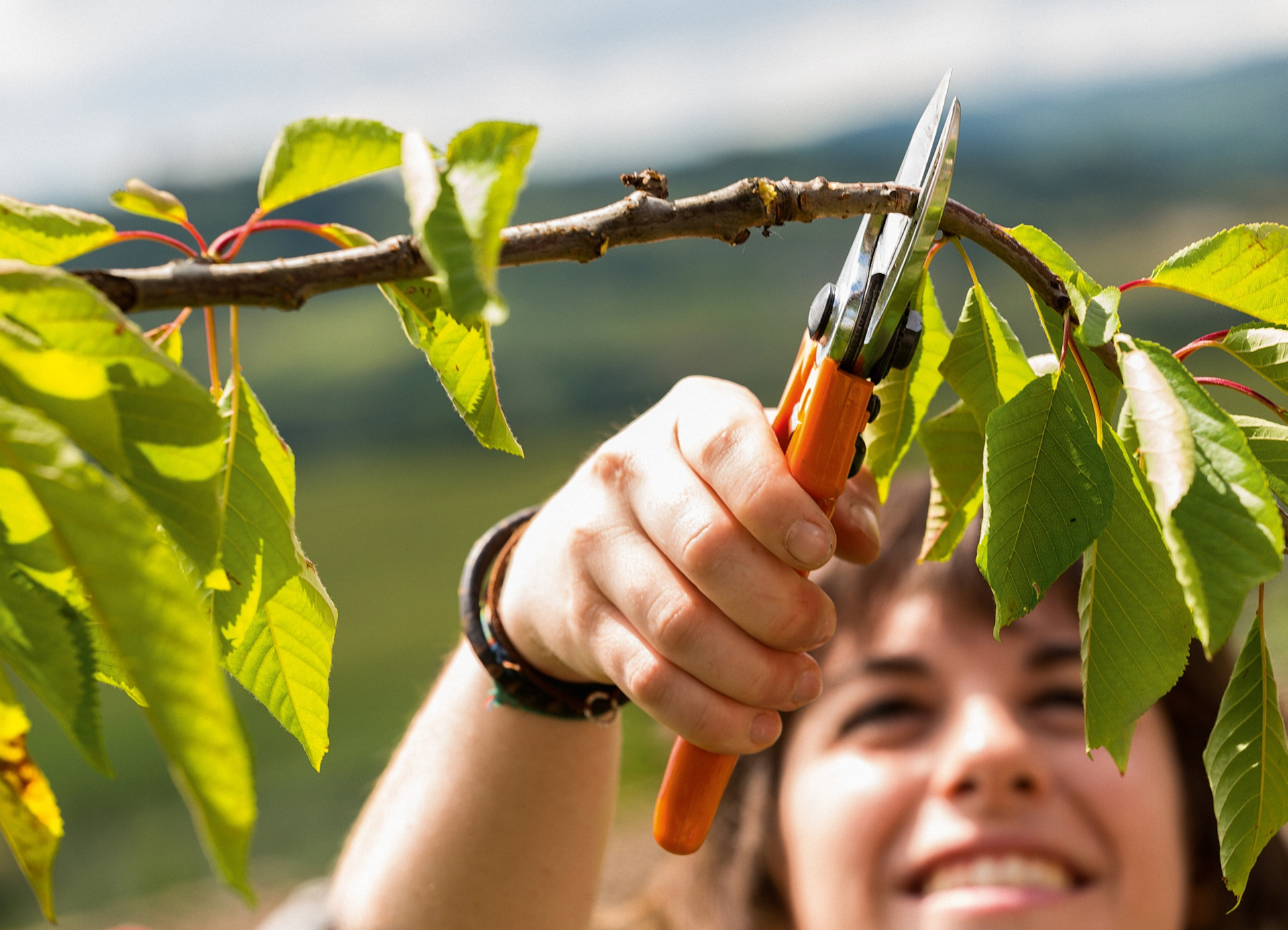 Mujer sonriente cortando una rama de un árbol frutal