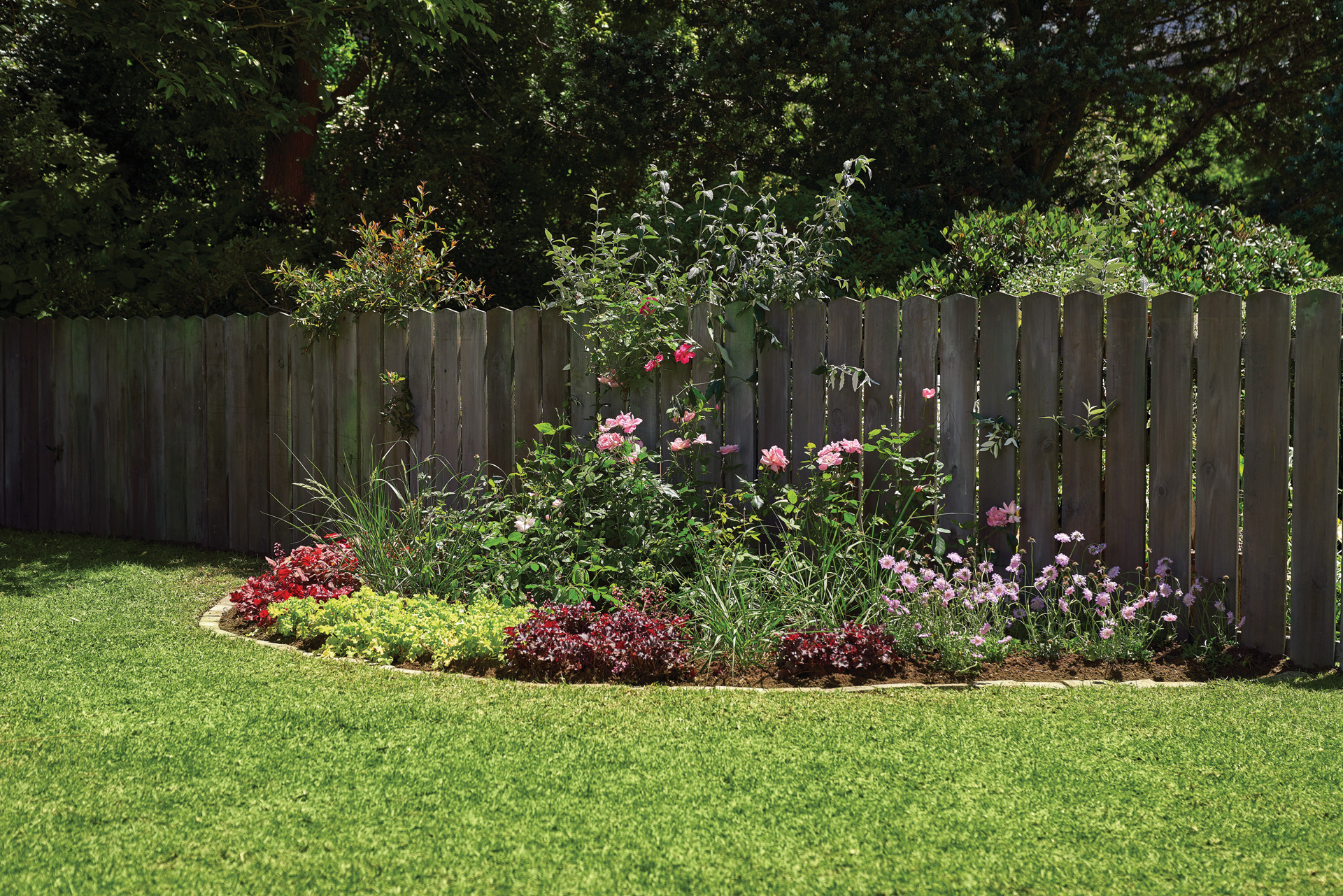 Coloridas plantas perennes para parterres de flores en un jardín junto a una valla de madera.