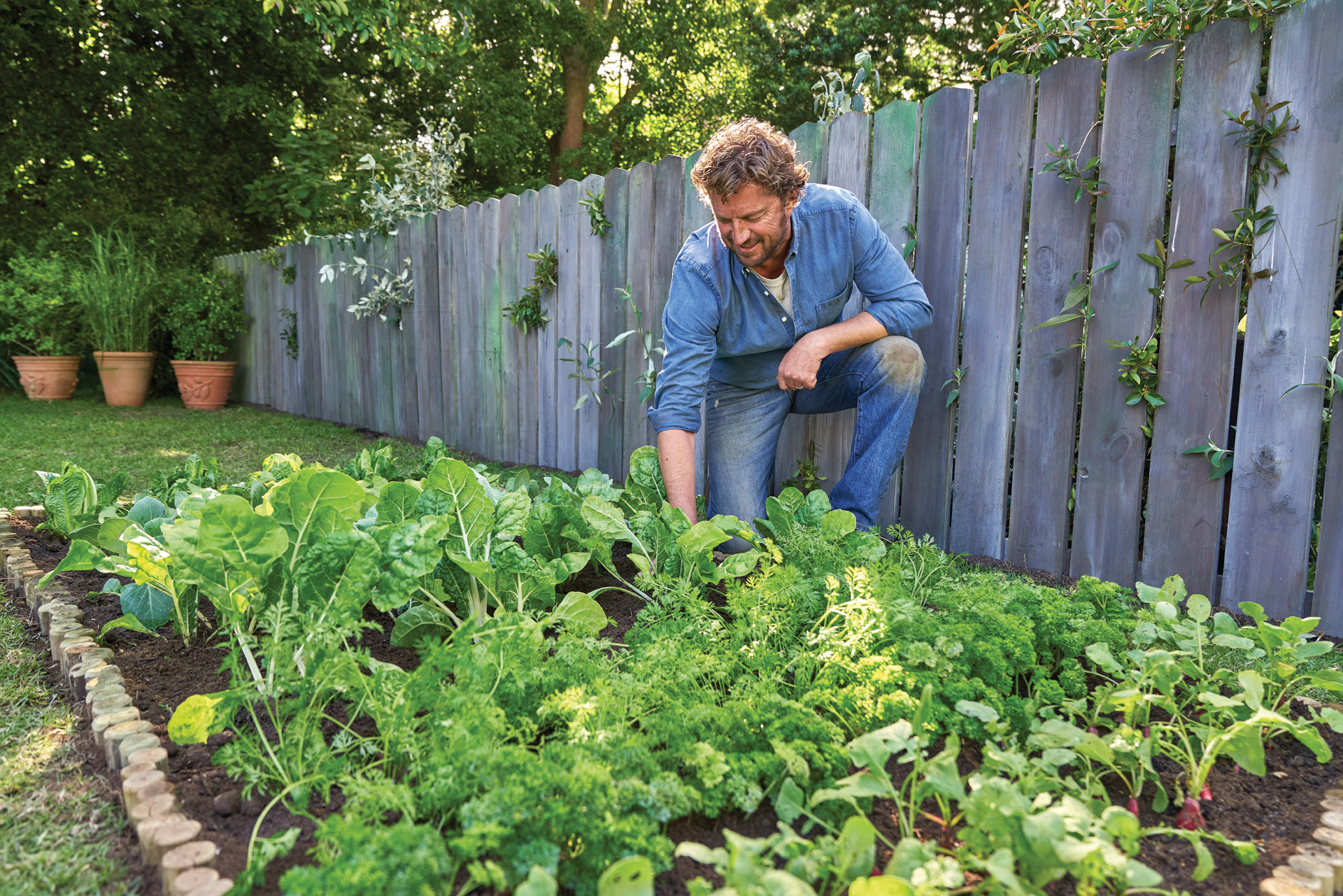 Un hombre de cuclillas en un abundante jardín de hortalizas en casa junto a una valla de madera.