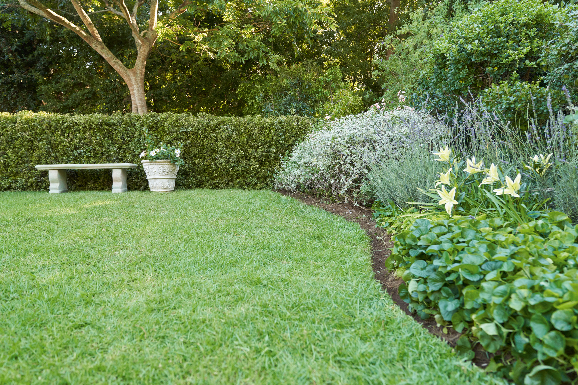 El borde de césped al estilo inglés marca el límite del césped en un jardín