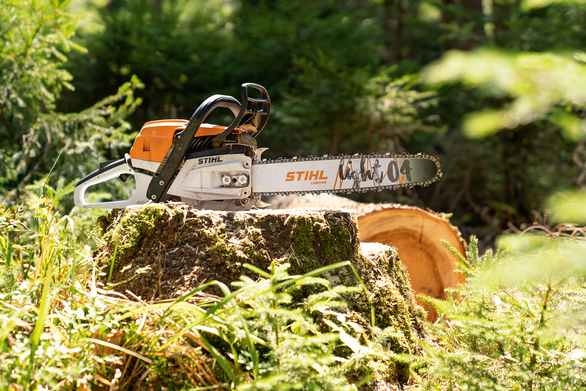 Una motosierra de gasolina STIHL MS 261 C-M en un tocón de árbol rodeado de plantas