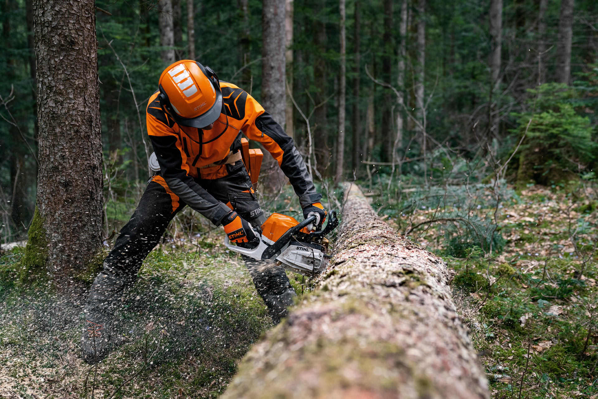 Un hombre cortando un tronco de un árbol caído con una motosierra STIHL MS 400 C-M de gasolina con pistón de magnesio.
