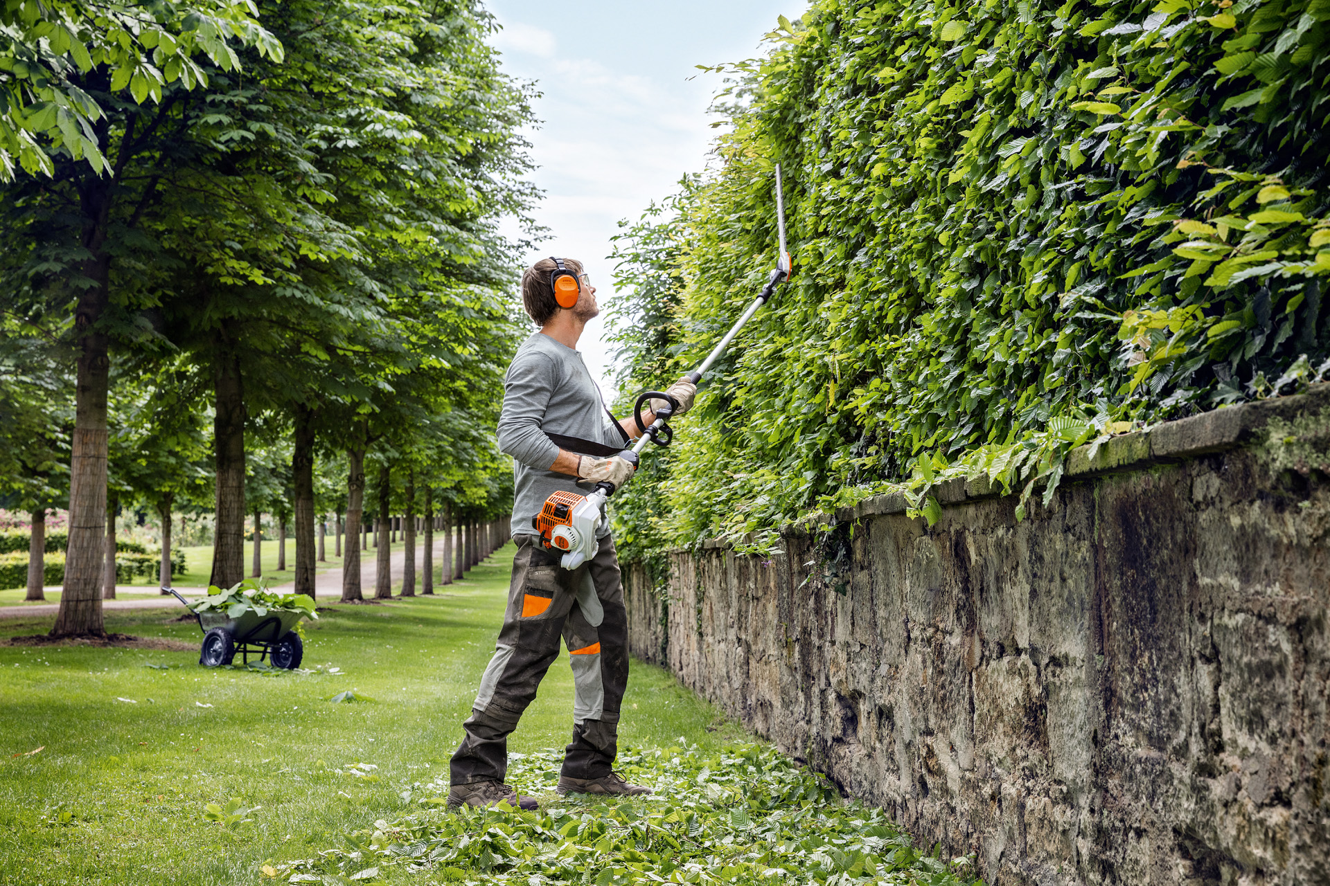 Cómo cortar setos: guía de mantenimiento | STIHL