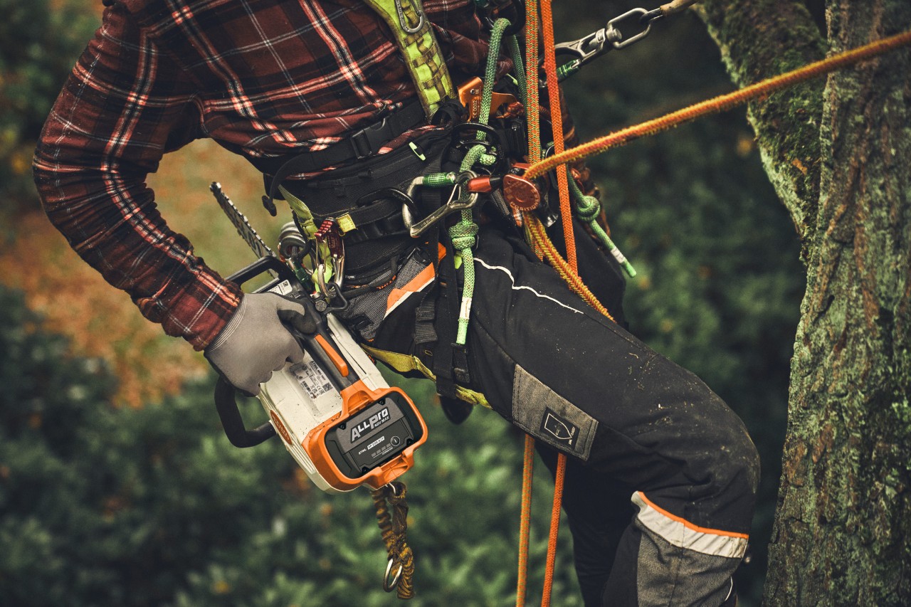 Primer plano de una persona trepando a un árbol con la motosierra inalámbrica STIHL MSA 190 T.